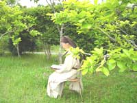 ���N�`�I�E�f�B���B�i